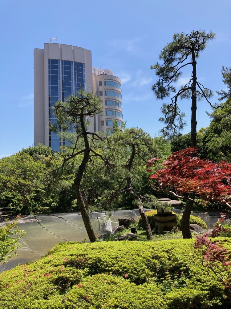 中庭の池