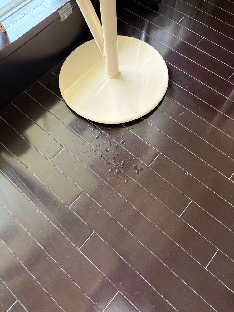 床に垂れた水滴